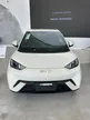 BYD Dolphin Mini - Miniatura 1