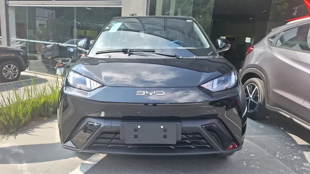 Foto de um byd dolphin mini