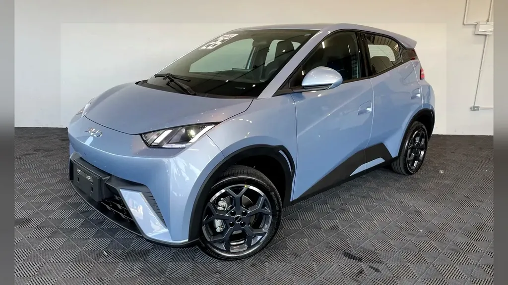 Foto de um byd dolphin mini