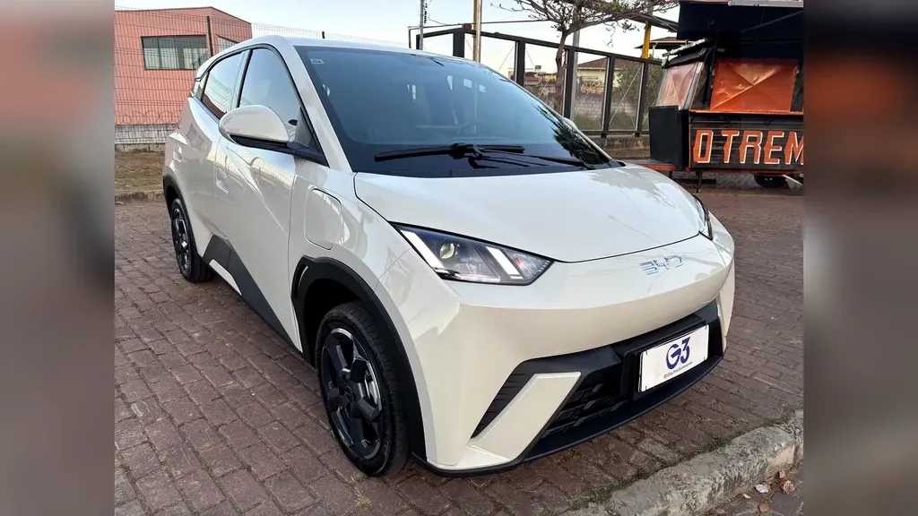 Foto de um byd dolphin mini