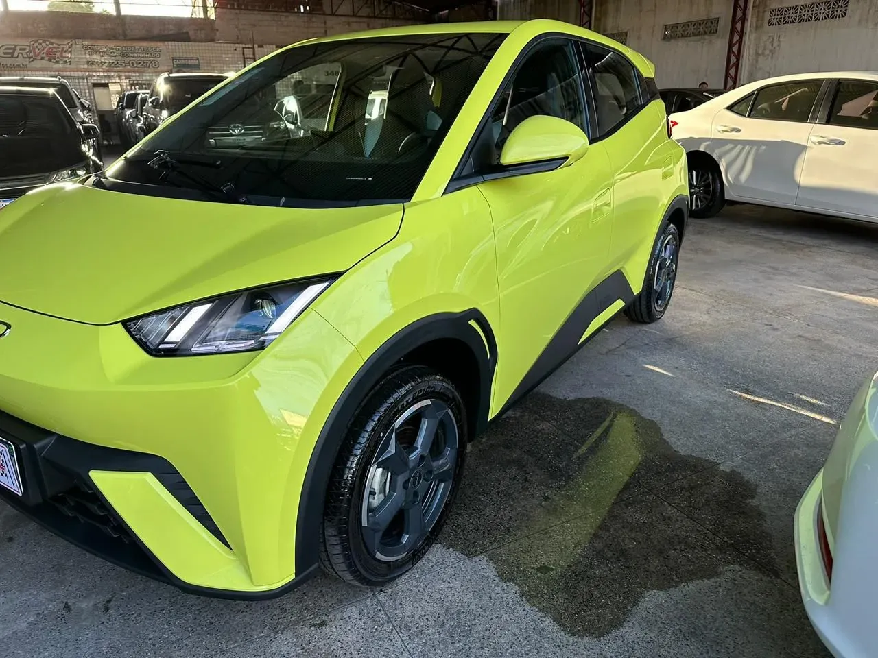 BYD Dolphin - Imagem 3