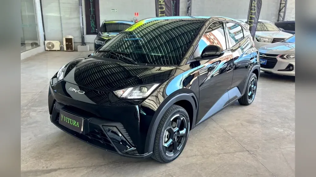 Foto de um byd dolphin mini