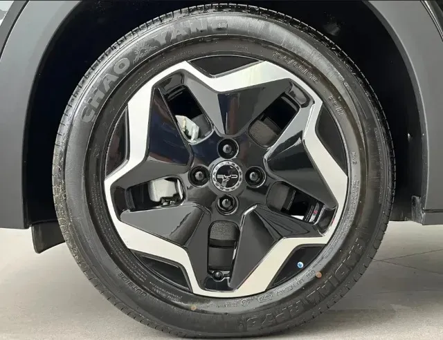 BYD Dolphin - Imagem 2