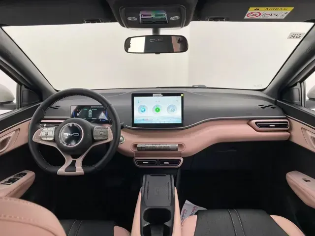 BYD Dolphin Mini - Imagem 8