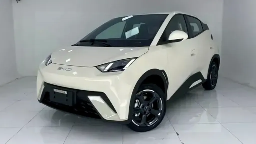 Foto de um byd dolphin mini