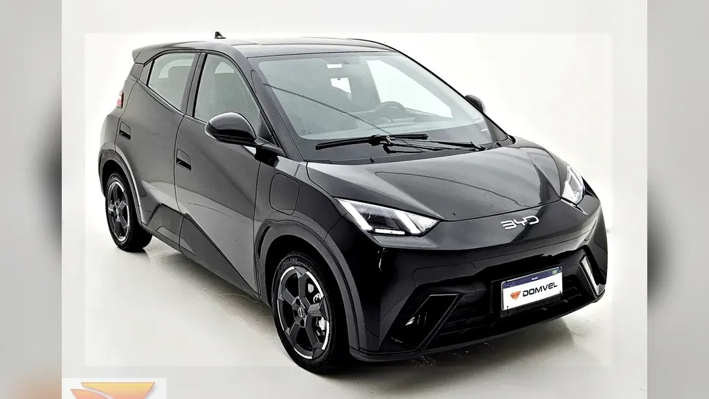 Foto de um byd dolphin mini