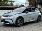 BYD Dolphin - Miniatura 4