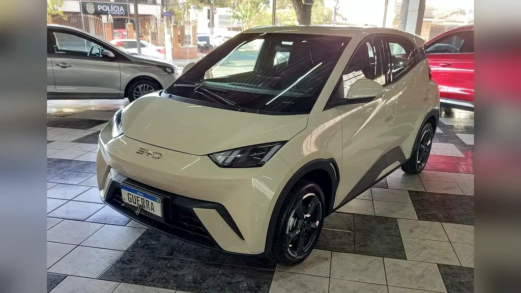 Foto de um byd dolphin mini