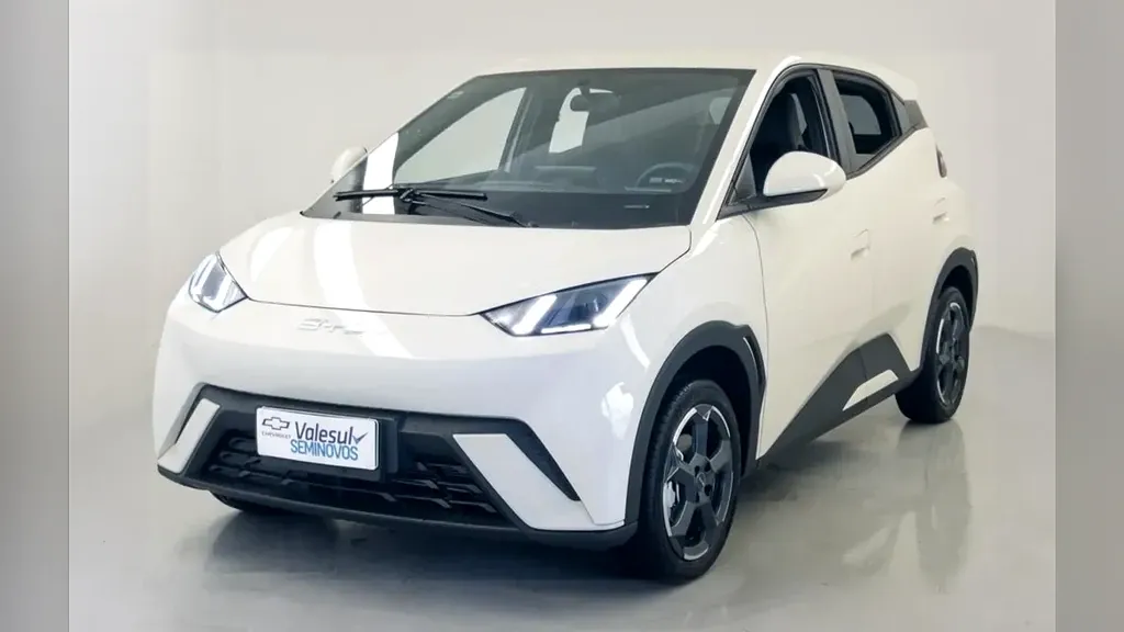 Foto de um byd dolphin mini