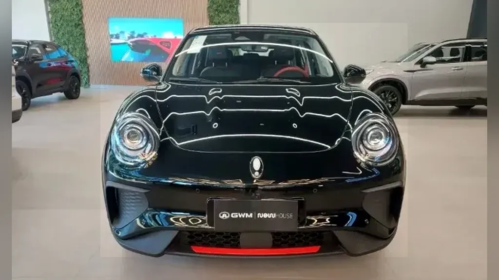 Foto de um gwm ora 03