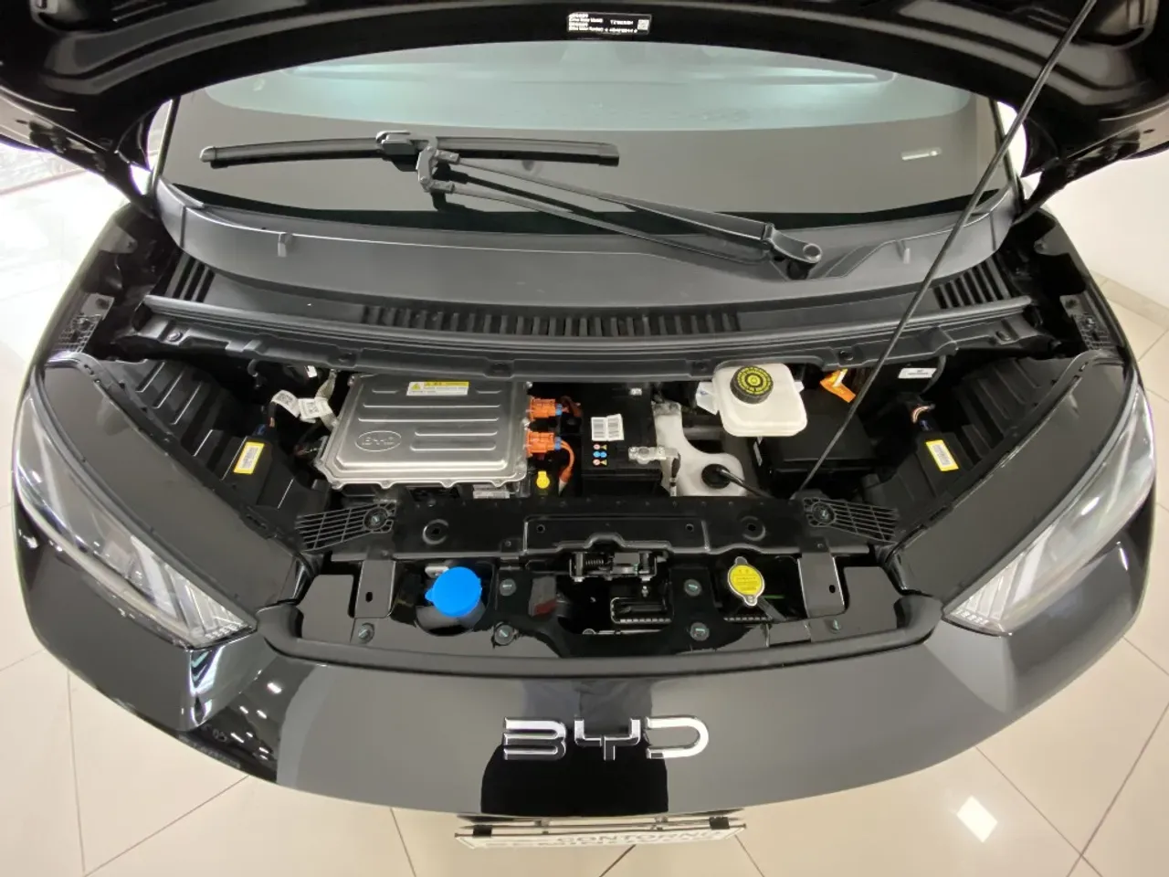 BYD Dolphin Mini - Imagem 13