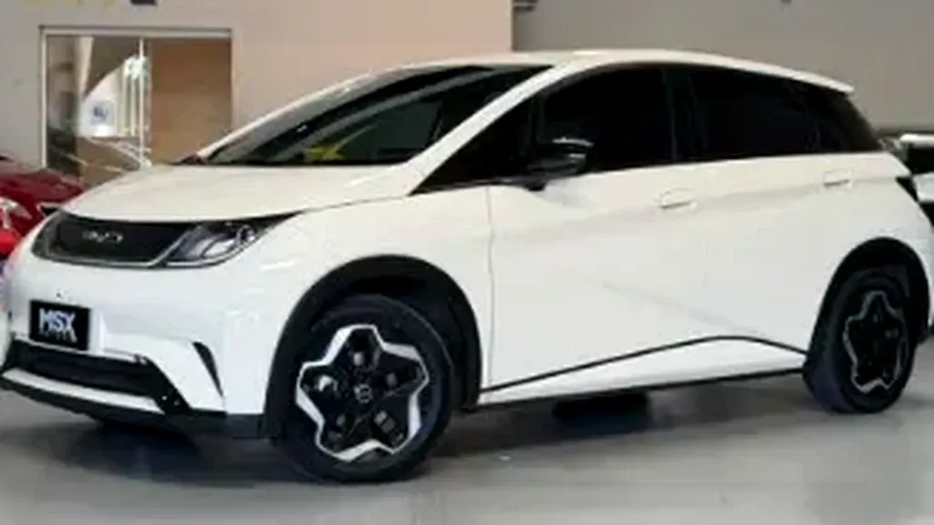 Foto de um byd dolphin