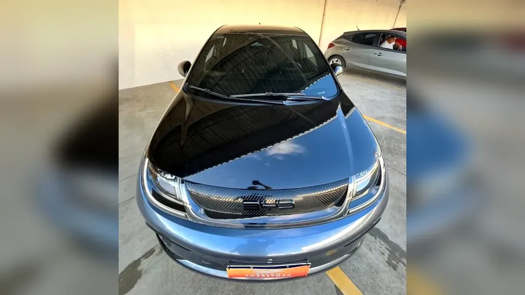 Foto de um byd dolphin