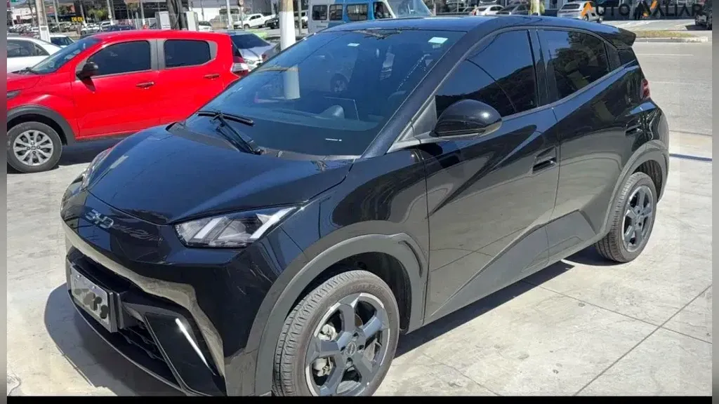 Foto de um byd dolphin mini