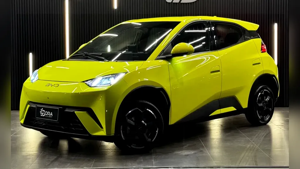 Foto de um byd dolphin mini