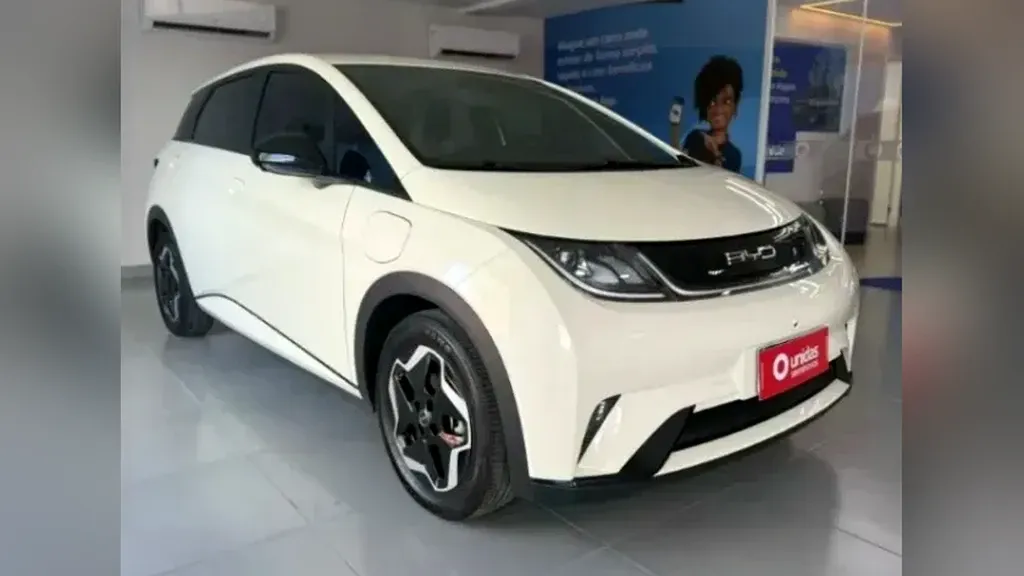 Foto de um byd dolphin