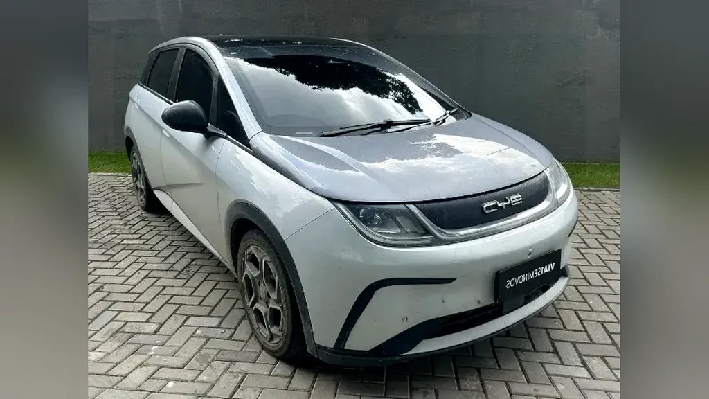 Foto de um byd dolphin