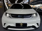 BYD Dolphin - Miniatura 2