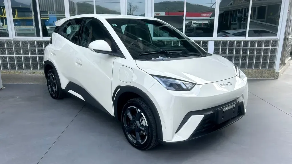 Foto de um byd dolphin mini