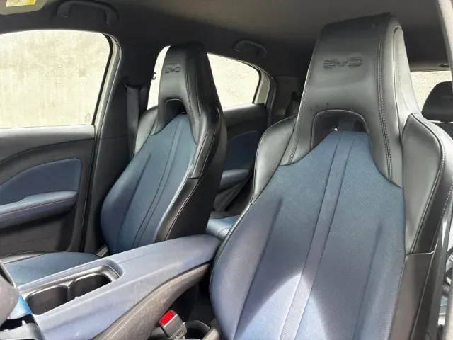 BYD Dolphin Mini - Imagem 15