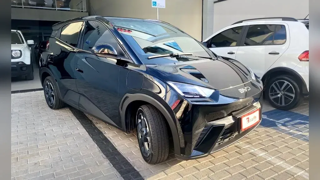 Foto de um byd dolphin mini