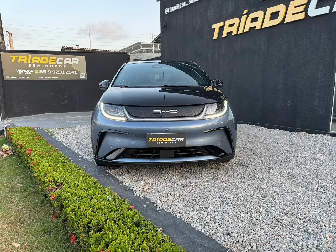 BYD Dolphin Plus - Imagem 2