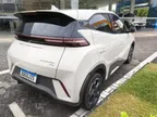 BYD Dolphin Mini - Miniatura 5