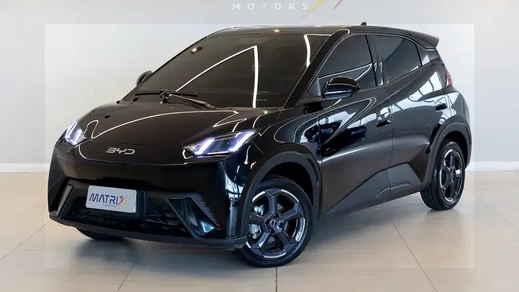 Foto de um byd dolphin mini