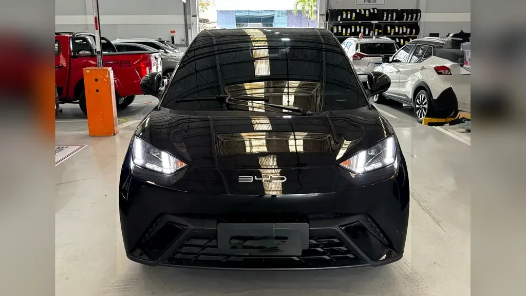 Foto de um byd dolphin mini