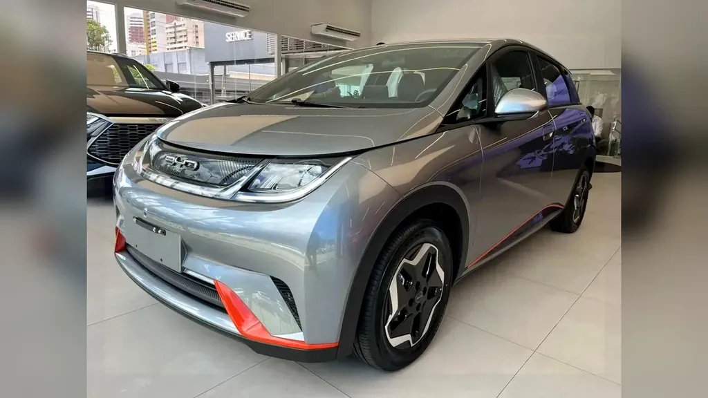 Foto de um byd dolphin