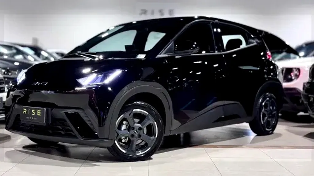 Foto de um byd dolphin mini