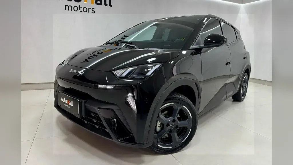 Foto de um byd dolphin mini