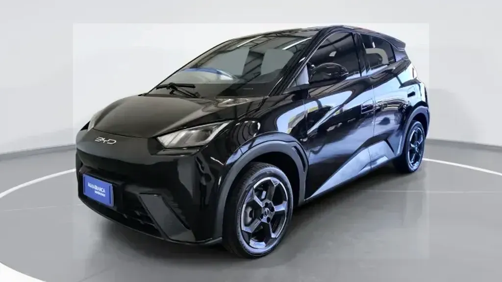 Foto de um byd dolphin mini