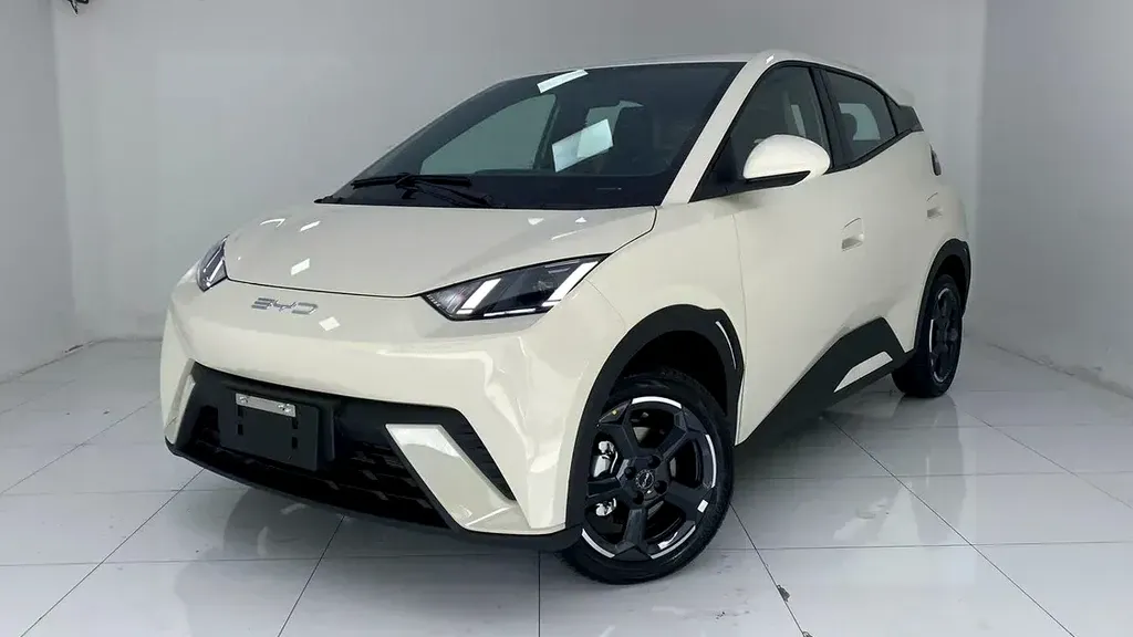 Foto de um byd dolphin