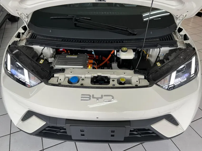 BYD Dolphin Mini - Imagem 13