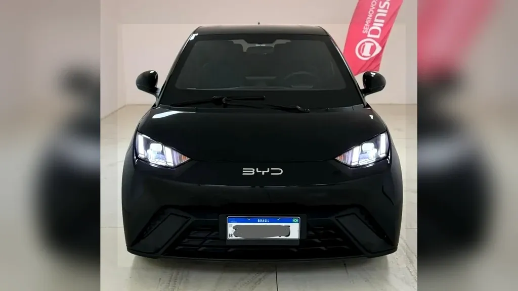 Foto de um byd dolphin mini