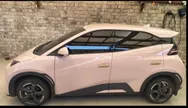 BYD Dolphin Mini - Miniatura 2