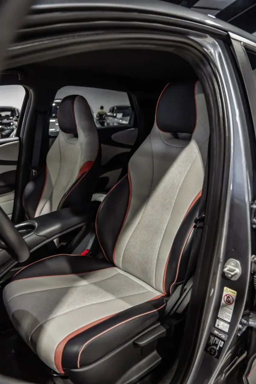 BYD Dolphin - Imagem 13