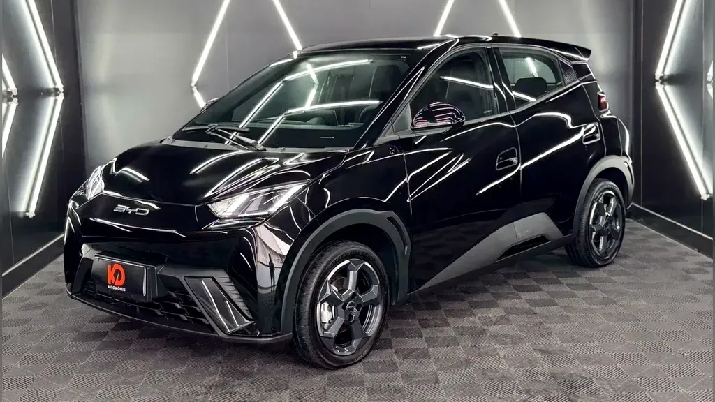 Foto de um byd dolphin mini