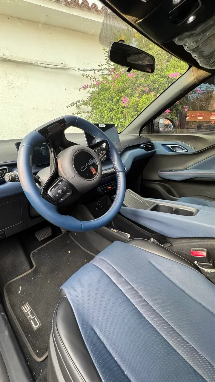 BYD Dolphin Mini - Imagem 9