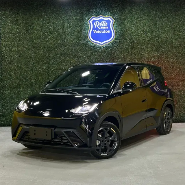 BYD Dolphin Mini - Imagem 2
