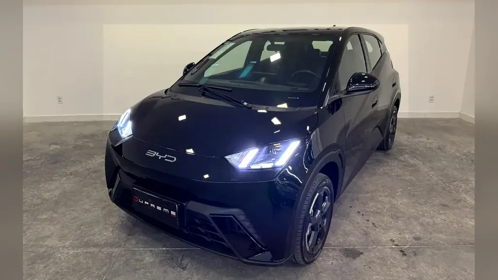 Foto de um byd dolphin mini