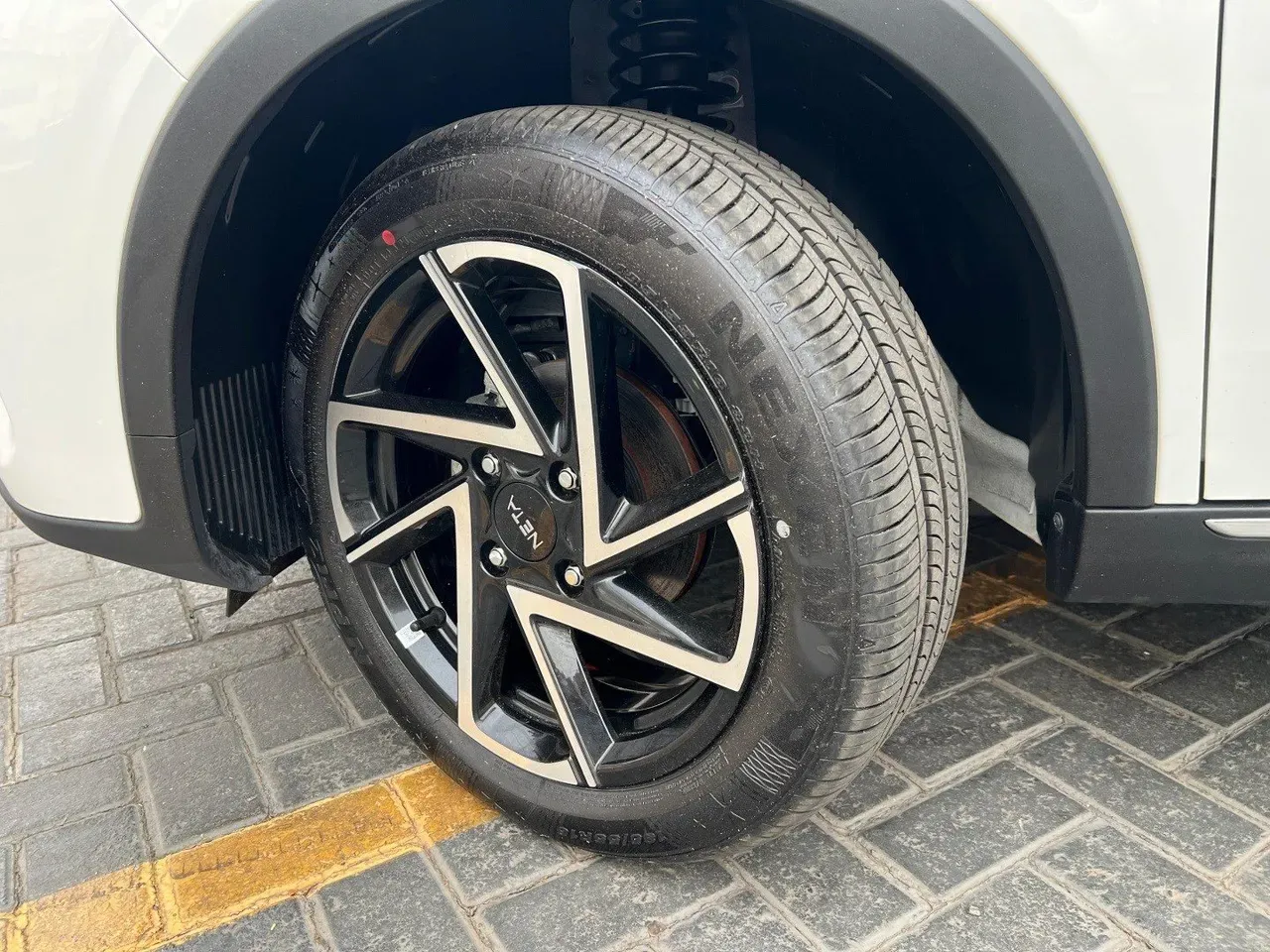 Neta Aya - Imagem 17