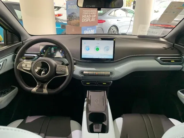 BYD Dolphin Mini - Imagem 14