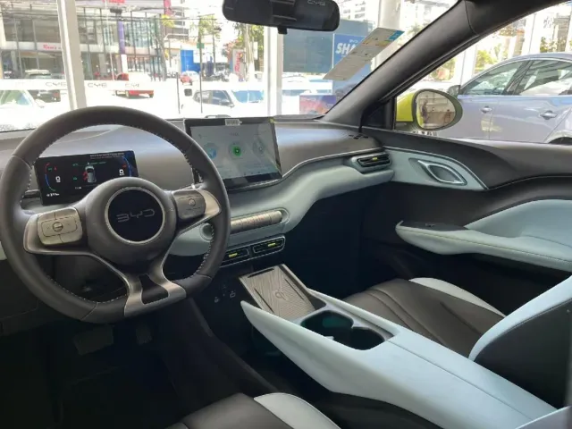 BYD Dolphin Mini - Imagem 16