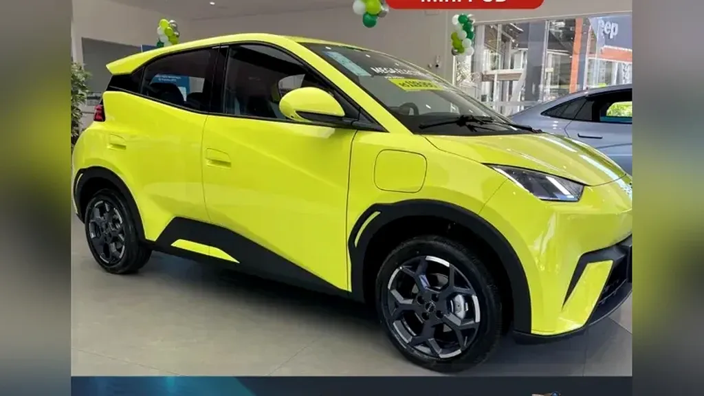 Foto de um byd dolphin mini