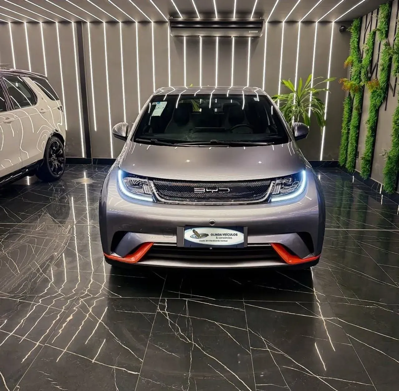 BYD Dolphin - Imagem 2