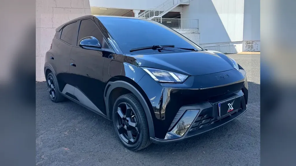 Foto de um byd dolphin mini