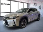 Lexus Ux 300e