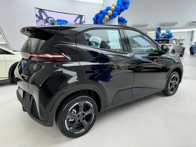 BYD Dolphin Mini - Imagem 14